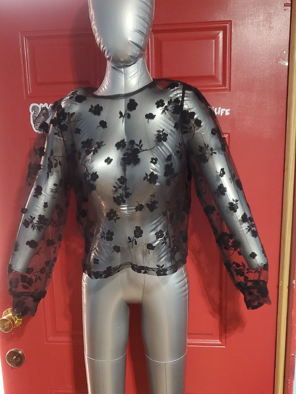 Sheer Black Floral Embroidered Long Sleeve Top - Women